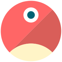 pNetwork